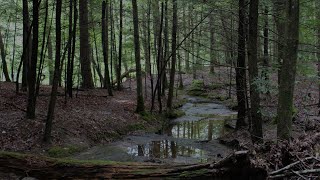 Hocking Hills Vacation: Horseback Riding🐴, Mini-Golf ⛳️, Hike to Old Man’s Cave, Kiaking and more🥰!!