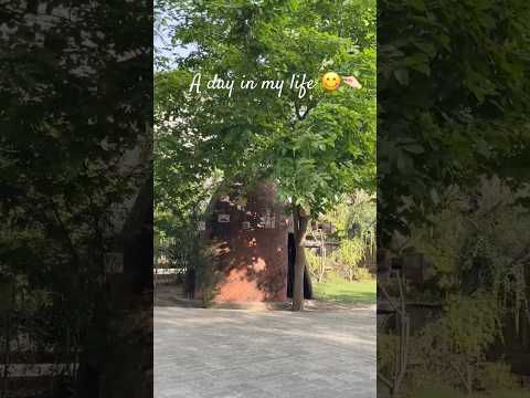 A day in my life🌻🧏🏻‍♀️ #explore #fypシ #minivlog #uniquecontent #trending #song