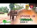 Sobadhara | Season - 01 | Episode 08 | Sobadhara Rupavahini