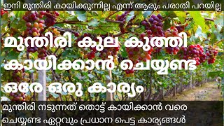 മനതര കലകതത കയകകൻ