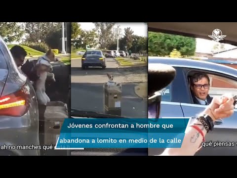 Video: El hombre afligido que fue salvado por un chihuahua ha rescatado a más de 30 perros pequeños