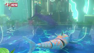 Exploring the Consumer Goods Expo: 'I thought it was a real fish swimming there.'