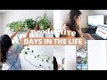 PRODUCTIVE DAYS IN THE LIFE | minimalist jewelry, tidying, bedroom upgrade