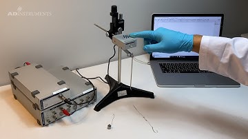 Calibrating a Force Transducer and Applying Pre-Tension
