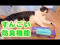 【 猫の音くん も感動？！ 】防臭機能がすんごい！ BOSのうんちが臭わない袋 （ 防臭袋 ）