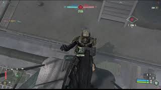 CRYSIS Ladder bug