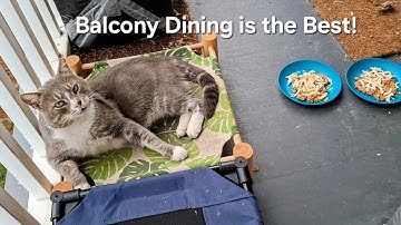 Time to Eat!