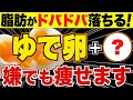 ゆで卵と一緒に食べるとごっそり痩せる!ダイエット効果を倍増させる食材【腸内環境/血糖値/便秘解消】