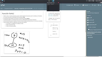 Función fork() en C