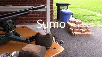 FX Streamline  22 cal   with Moderator Comparison