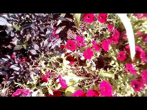 21年8月27日 Youtube