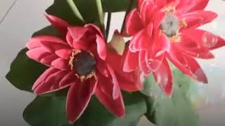 Download Lagu 🌹MALI HILIQ 💕Ami Marwah MP3