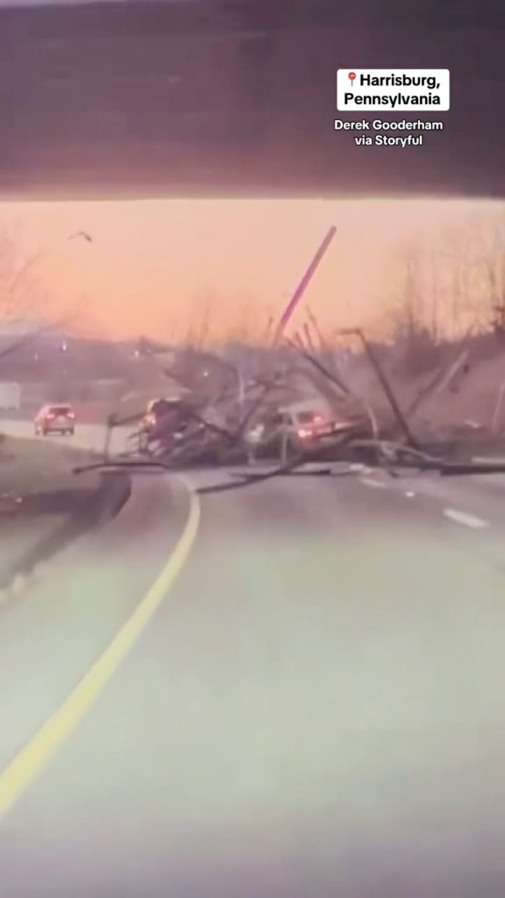Lumber falls off truck in Pennsylvania, hitting car below #shorts