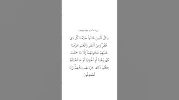 سورة الأنعام ١٤٦
