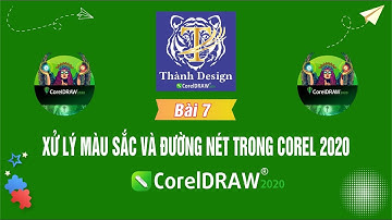 Tự học corel | Bài 7: Xử lý màu sắc và đường nét