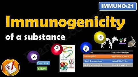 Immunogenicity -Properties determining immunogenicity of a substance (FL-Immuno/21)
