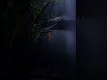 #soothing RAIN