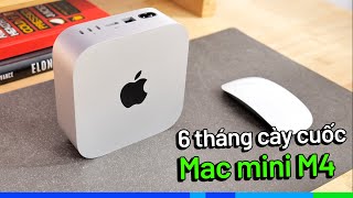 Sau 6 tháng với Mac mini M4: Quá hời cho một “cỗ máy cày tiền”