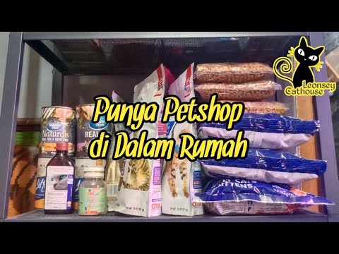 Video: Kebingungan Antara Kebutuhan Protein Dan Makanan Hewan Peliharaan Berkualitas Tinggi, Survei PetMD Menemukan