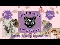 Lunar jewelry crystal co / my Etsy store ! Crystal jewelry , hippie and cottagecore jewelry
