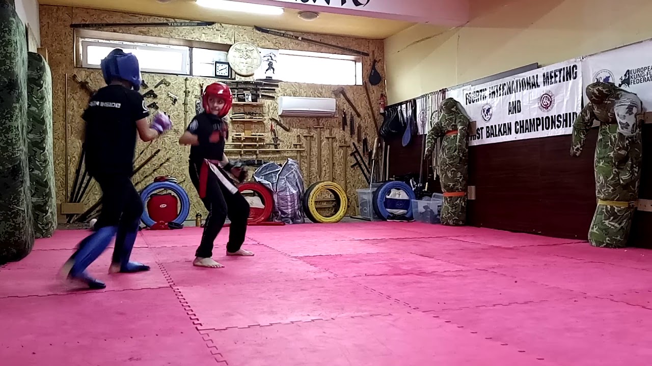 KUNG FU TO'A BULGARIA MARTIAL ARTS ACADEMY & INTERNATIONAL COMMANDS