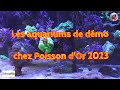 Les aquariums de dmo chez poisson dor 2023