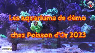Les aquariums de démo chez Poisson d'or 2023 by Aquatechnobel 1,911 views 9 months ago 7 minutes, 27 seconds