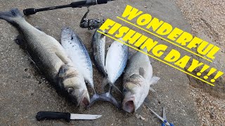 Big Seabass(Labrax) | Little tunny | Spanish mackerel | fishing | Episode #5\/5 | mini series