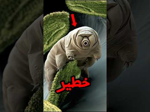 أقوى الحيوانات على وجه الأرض صدمة