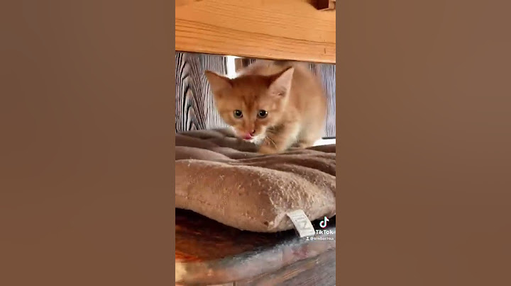 Нашёл новые видео для тебя🥺