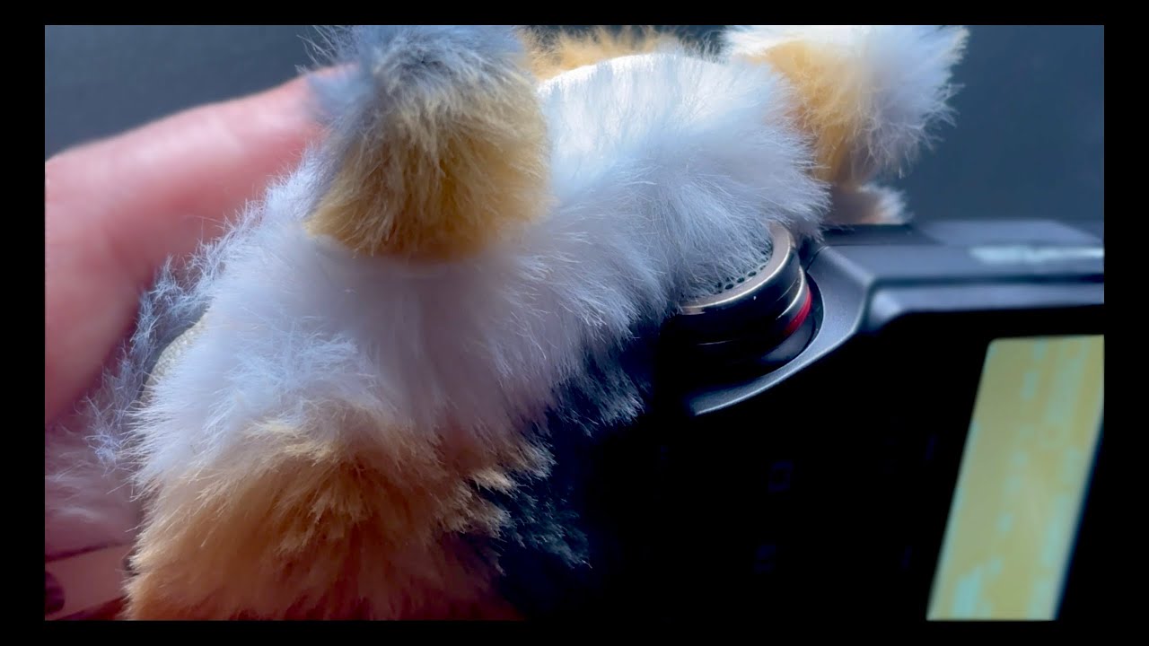 【ASMR】ふわふわ猫ちゃんビーズクッション風ホワイトノイズみたいな音【notalking】