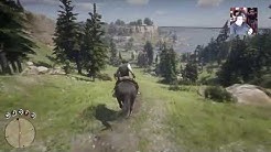 Let's Play Red Dead Redemption 2 Part 36