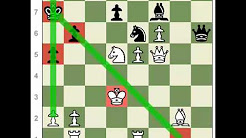 Learn to Play Chess - YouTube