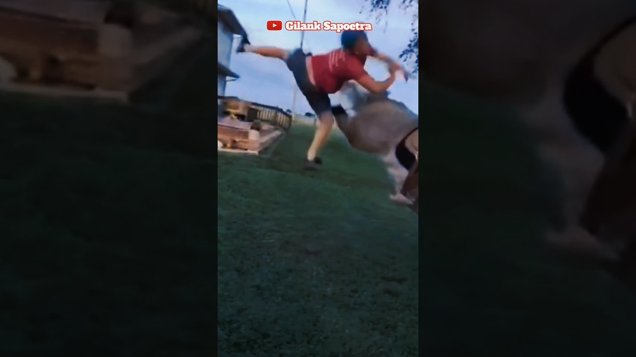 man kicked by horse😂 
