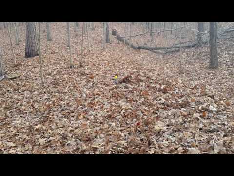 Silly string explosion