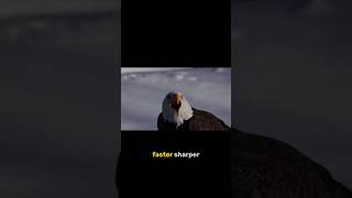 What Makes The Eagle So Powerful.