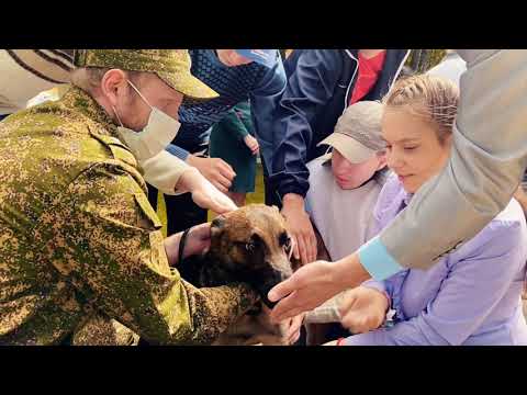 Внуковские таможенники поздравили