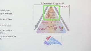 Cross frequency coupling pt4 Networks