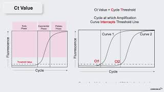 COVID-19 SERIES: RTPCR PART 4 (RNA QUANTIFICATION)