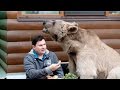 Famiglia russa vive con un orso in casa