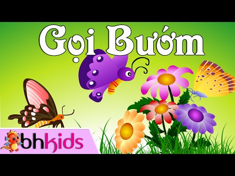 Video: Con Bướm Hồng