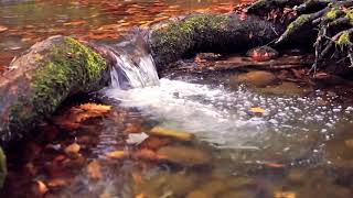 30 Minutes Water Sound Therapy for Stress Relief