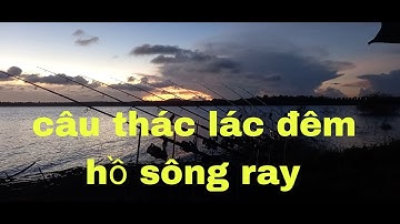 Một đêm săn thác lác không may mắn của tuấn sông ray #cauca#caudai#lua.