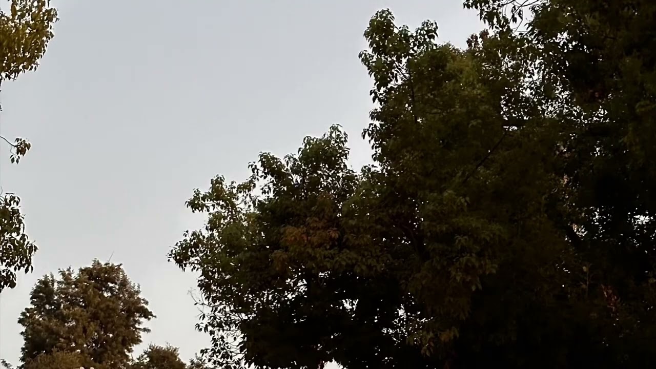 Watch VAIL - a memoir Vol. 2 - Faker? (Official Audio) on YouTube Watch VAIL - a memoir Vol. 2 - Faker? (Official Audio) on YouTube