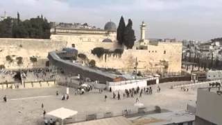 37Hearts 4. Lets Take A Tour