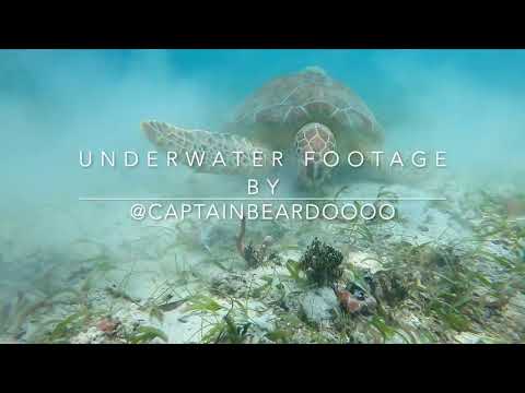 Virgin Islands DJI Drone/GoPro Video - Phil Collins remix