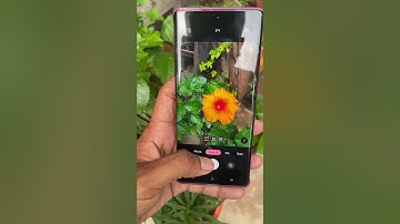 Motorola edge 50 fusion camera best photo capture only 23k 🥳❤️#trending #motorola 💕❤️