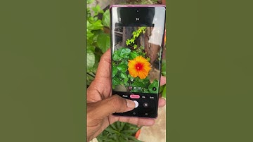 Motorola edge 50 fusion camera best photo capture only 23k 🥳❤️#trending #motorola 💕❤️