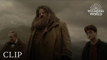 Harry Attends Aragog