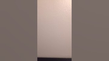 Week 6 salt tolerance testing